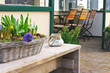 Flower shop and cafe in Gorinchem. Netherlands