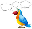 A colorful parrot thinking