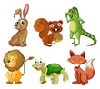 Four-legged animals