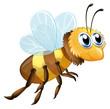 A six-legged insect