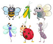 Different insects