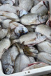 Foto: fangfrisch fangfrisch