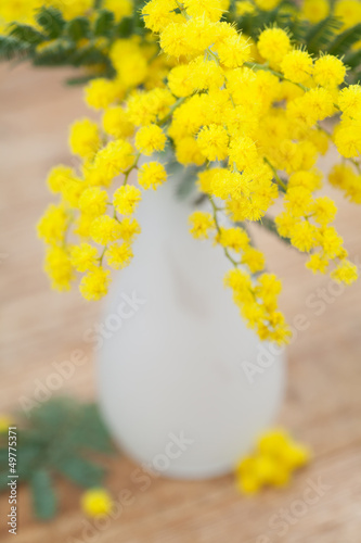 Photo: Mimosa in a vase Mimosa in a vase