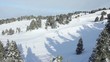 Neige et sapins en station