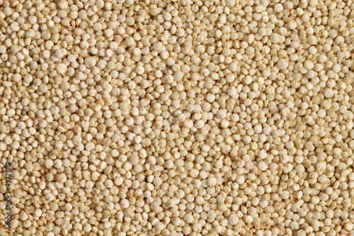 Photo: uncooked quinoa uncooked quinoa