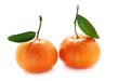 Tangerines