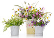 beautiful flowers
