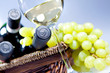 Wein