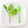 Concept of healthy eating or dieting.