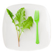 Concept of healthy eating or dieting.