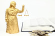 Themis, book and money on the white background