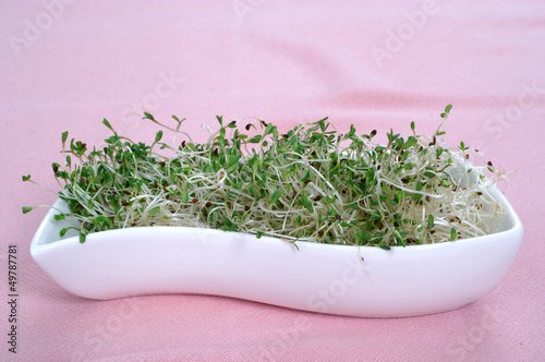 Photo: Fresh alfalfa sprouts Fresh alfalfa sprouts