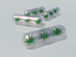 Medical Marijuana
