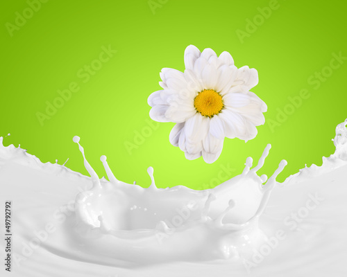 Photo: Image of milk splashes Image of milk splashes