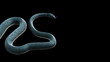 Snake 2013