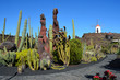 jardín de cactu