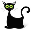black cat