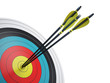 .Arrows hitting the center of target - success business concept
