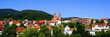 FORBACH ( Schwarzwald ) - Stadtpanorama