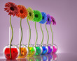 Genetics and Floriculture