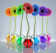 Genetic Experiments