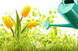 Gardening
