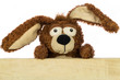 Stoffhase hinter Holzwand