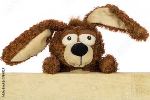 Photo: Stoffhase hinter Holzwand Stoffhase hinter Holzwand