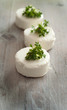 Ziegenkäse mit frischer Kresse