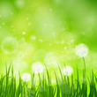 Vektor: Vector Illustration of a Natural Green Background with Dandelion Vector Illustration of a Natural Green Background with Dandelion