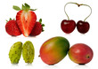 fresh fruits over a white background