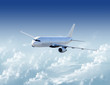 Airplane in the sky
