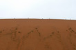 People on a dune, Deadvlei, Namibia