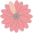 pink flower