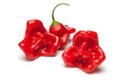 Bishops Crown Peppers