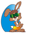 Easterbunny Sunglasses Board 2