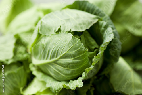 Photo: cabbage cabbage
