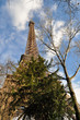 Photo: The Eiffel Tower in Paris The Eiffel Tower in Paris