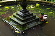 Photo: Mallard next to a fountain Mallard next to a fountain