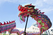 Wellington Chinese New Year Snake