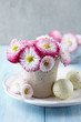 Daisy Flowers And Easter Eggs