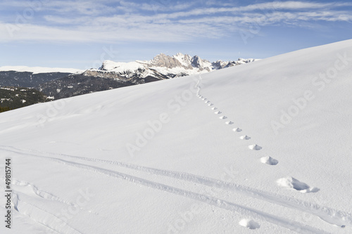 Photo: Alpine Skiing Marks on the Seiser Alm Alpine Skiing Marks on the Seiser Alm