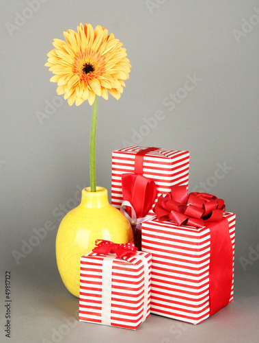 Photo: Beautiful Gerber flower with gifts on grey background Beautiful Gerber flower with gifts on grey background