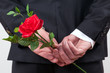 Mann, Hand, Rose, warten