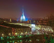 Turin view