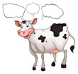 A smiling cow