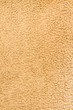 Wide view of some brownish carpet