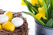 Daffodils and easter eggs in a nest
