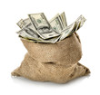 Dollar in the bag