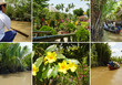 Vietnam #7